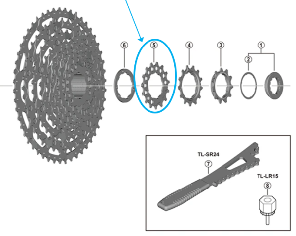 Shimano Zahnkranz CS-LG600 15 Z&auml;hne Spacer-Typ 